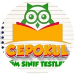 Logo of CepOkul Tüm Dersler Test Çöz android Application 